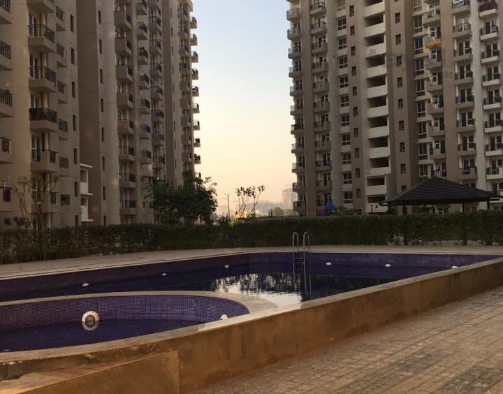 Mapsko Paradise Sector 83 Gurgaon Swimming Pool