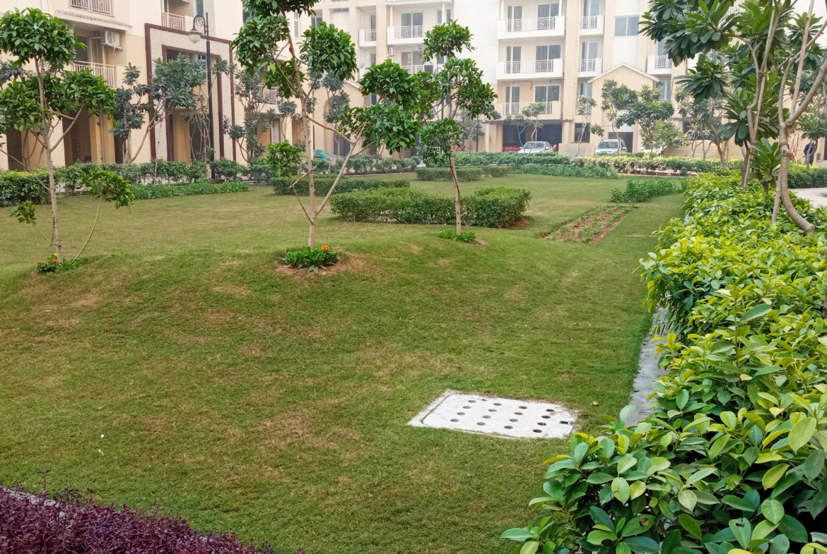 Emaar Palm Hills Sector 77 Gurgaon central lawn